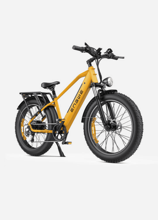 Engwe E26 48V/16Ah 750W Electric Mountain Bike