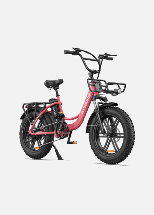 Engwe L20 48V/13Ah 750W Electric Bike