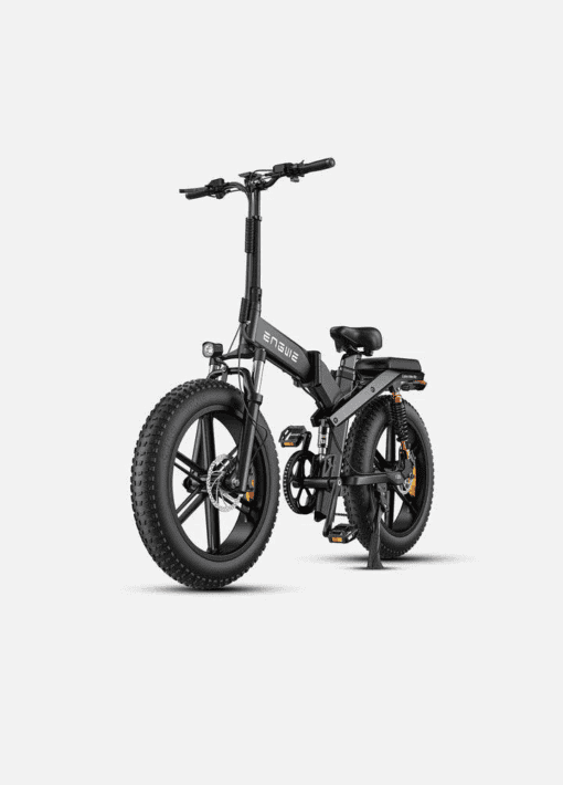 Engwe X20 48V/19Ah 1000W Electric Bike