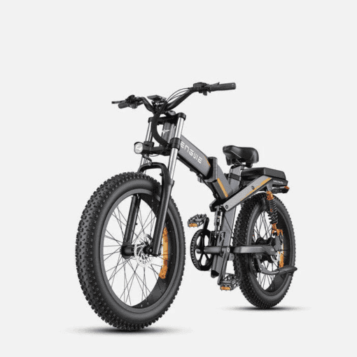 Engwe X24 48V/19Ah 1000W Electric Bike